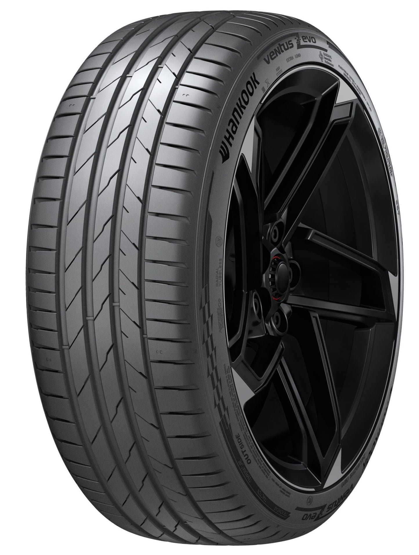 Ventus Evo K137