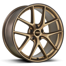 CI-R - Satin Bronze with Black Rim Protector