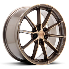 JR37 - Platinum Bronze
